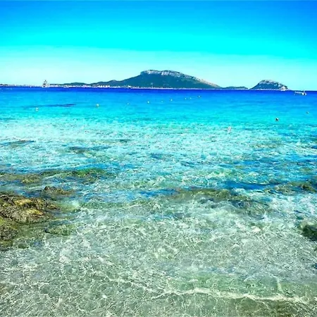Apartamento Pittulongu Near Rocce For 4 Olbia