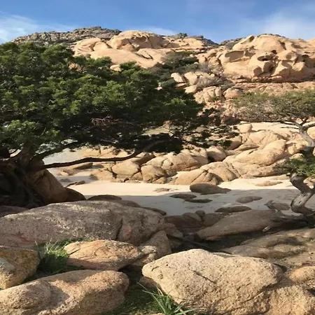 公寓 Pittulongu Near Rocce For 4 奧爾比亞